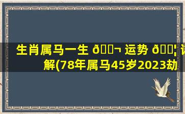 生肖属马一生 🐬 运势 🐦 详解(78年属马45岁2023劫难)